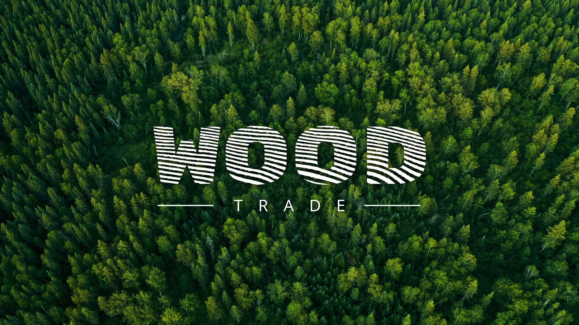 Разработка интернет-магазина компании «Wood Trade» в Киришах